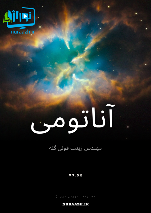 آناتومی پیام نور